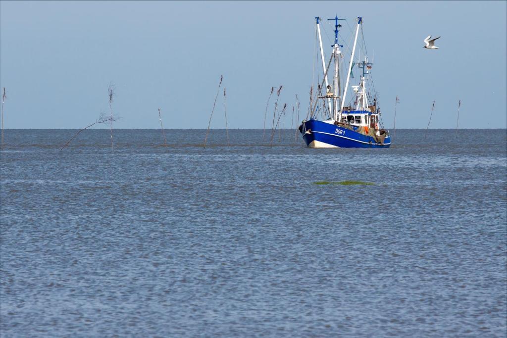 Cuxland-Ferienpark Nordseebad Dorum Exteriér fotografie