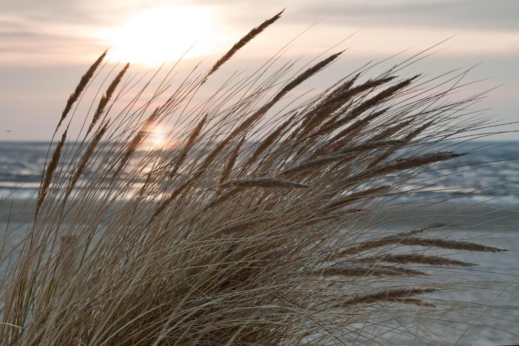 Cuxland-Ferienpark Nordseebad Dorum Exteriér fotografie